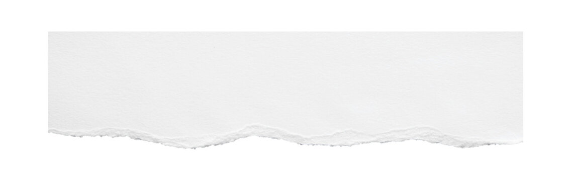 Long white torn paper banner with wavy bottom edge on transparent background