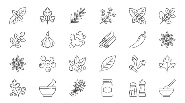 Herbs and Spices Line Icon Set with Basil Rosemary Garlic Ginger Cinnamon Chili Mortar and Pestle Outline Vector Symbols