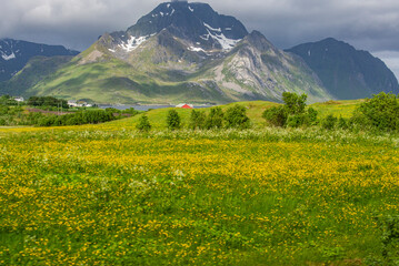 Fototapeta premium Lofoten Island, Norwegian Sea, Alesund, Hjorundfjord, Finnmark, Norway, Arctic, Norwegian fjords