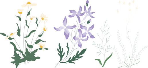 Fototapeta premium Watercolor Purple Flower Branches and Botanical Elements Collection