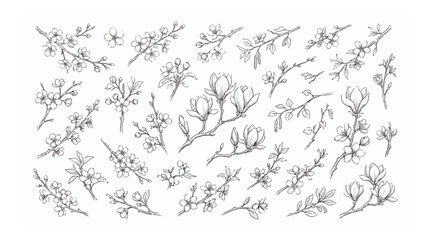 Hand drawn cherry blossom and magnolia branches, elegant floral line art collection, minimalist spring flower vector set for wedding invitations © xantii