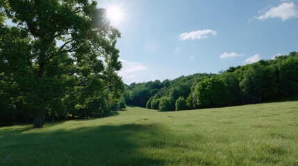 Fototapeta premium Serene Green Meadow Under Clear Blue Sky with Bright Sunlight and Lush Trees in Peaceful Natural Landscape