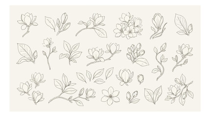 Vintage magnolia flower line art collection, elegant botanical sketch vector set, hand drawn floral elements for wedding invitations and branding © HayeGareebi