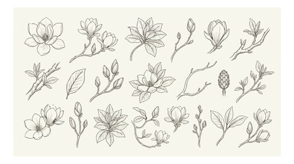 Vintage magnolia flower line art set, hand drawn botanical floral sketches, 21 elegant blossom vector elements for wedding invitations © HayeGareebi