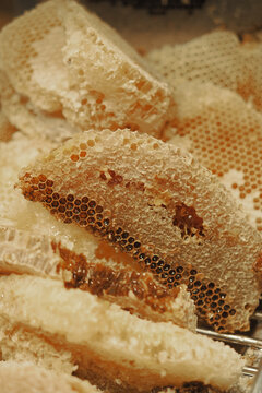 Honeycomb pieces ready for extraction and tasting
