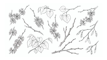 Fototapeta premium Vintage botanical line art collection, hand drawn tree branches with leaves and flowers, black ink floral sketches for wedding invitations and branding