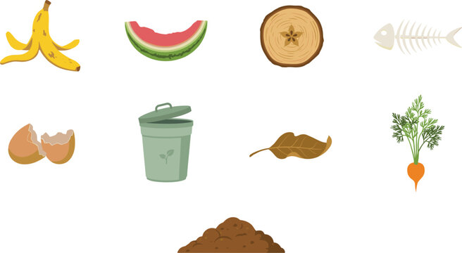 Organic waste composting vector illustration set featuring bio garbage icons of banana peel watermelon rind eggshell fish bone apple core leaf carrot soil pile and bin