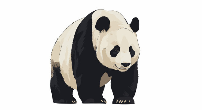 A large black and white bear with distinctive markings