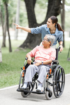 Asian Daughter Pointing Forward While Pushing Senior Mother in Wheelchair