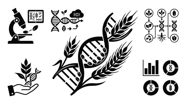 Genetic research and agriculture science.