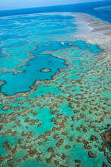 Great barrier reef aerial view showing turquoise water and coral © Nazareno