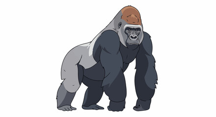 A large gray gorilla with brown hair on its head stands on all fours © Agung
