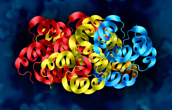 Protein structure Concept as a three dimensional visualization illustrating molecular biology  proteins folding and microscopic biomolecular interactions essential to life and biomedical research.