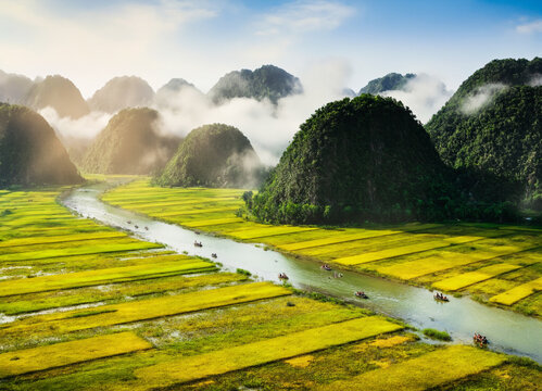Rice field and river, NinhBinh, vietnam landscapes	
