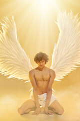 Obraz premium Golden Angel Strength