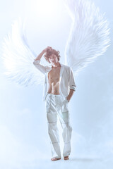 Obraz premium Heavenly Winged Beauty