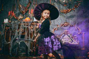 Naklejka premium Twilight Witch Ride