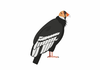 Fototapeta premium Illustration of a stylized bird with black and white feathers