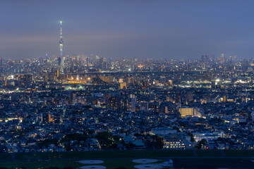 Fototapeta premium 東京スカイツリーと東京夜景のパノラマ 