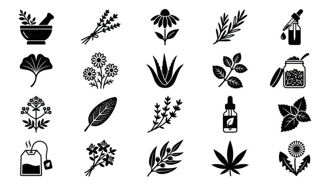 Herbal medicine and natural remedy botanical black icon set.