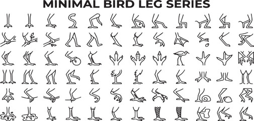 Fototapeta premium Bird Legs and Animal Foot Icon Series Vector
