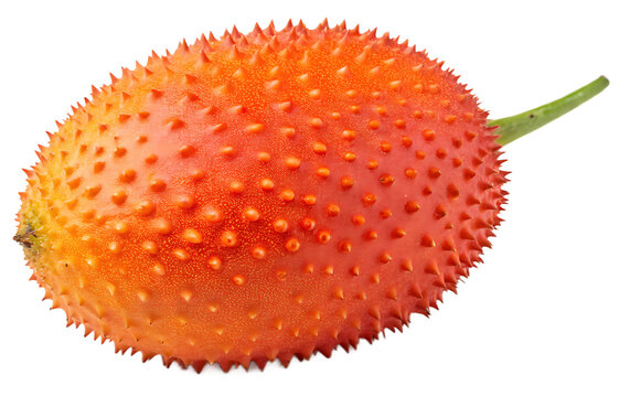 Rare Gac fruit with bright orange-red skin and spines, isolated on white background
