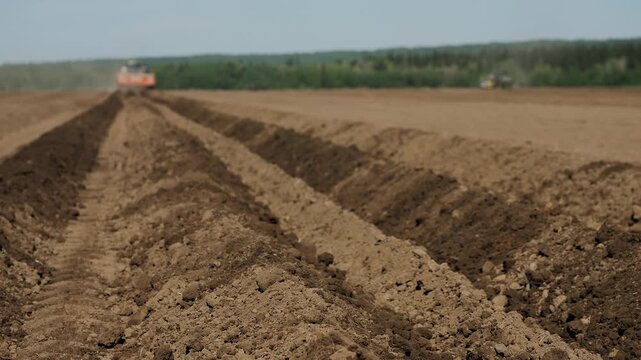 Freshly cultivated farmland with planting furrows prepared for crop production. Agricultural field ready for sowing during spring farming season.