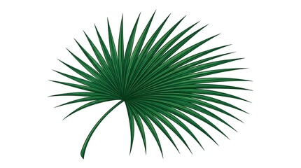 Obraz premium Palm leaf, green foliage, tropical plant, leafy texture, natural element