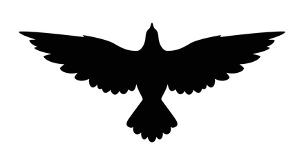 Bird in flight silhouette captures the essence of freedom, avian grace, and natural movement, offering a powerful visual symbol for travel or spiritual themes. © Berkah