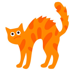 Fototapeta premium scared orange halloween cat with arched back and tail