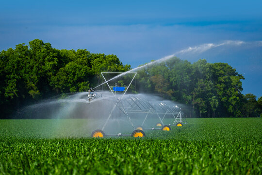 Irrigation with watering sprinkler. Irrigation near watering sprinkler. Green irrigation across fields. Center pivot irrigation across farmland.