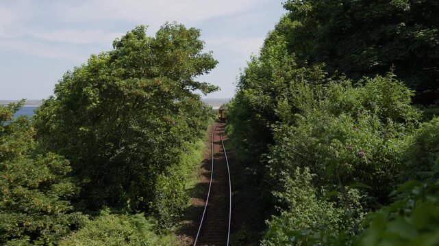 A passenger train traveling along the St Ives Bay Line through dense green trees near Carbis Bay in Cornwall, England.