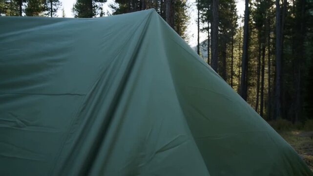 Green camping tent pitched amid forest trees