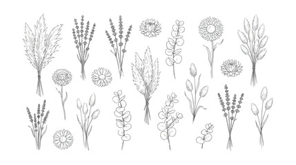 Hand drawn botanical line art collection, minimalist floral sketch vector set, elegant lavender and eucalyptus wildflower illustrations for wedding stationery © I'm_coming
