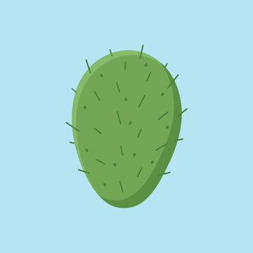 Green prickly pear cactus pad with spines on a blue background