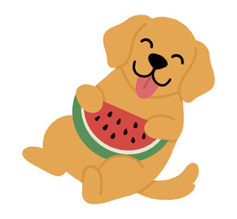Obraz premium cute puppy with watermelon