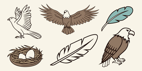 Obraz premium Bald eagle wildlife vector icon set with bird of prey eagle eyes wildlife predator illustration isolated collection creature wilderness conservation majestic predatory feathered wingspan