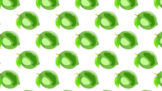 Lime seamless pattern, fresh green lime fruit stop motion animation on white background