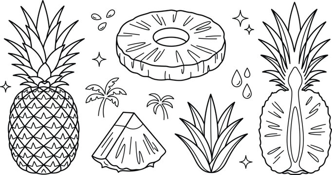 Fresh pineapple fruit tropical vector outline illustration set with whole half ring slice chunk leaves palm tree elements