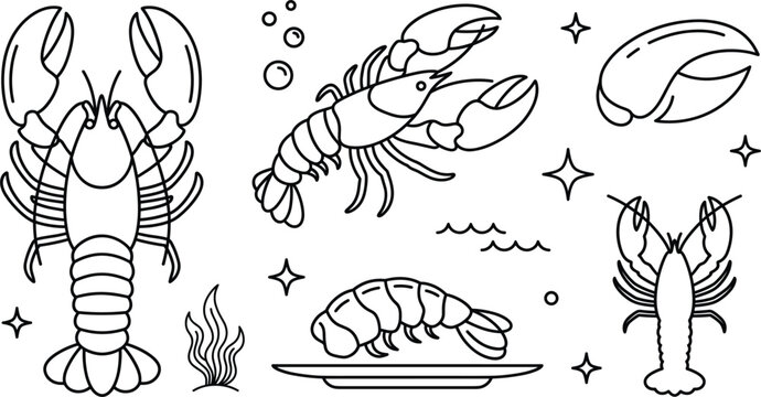 Fresh seafood vector doodle line art set featuring delicious lobsters claw and shrimp for restaurant menu graphic design