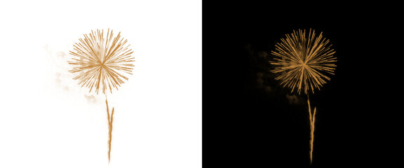 Obraz premium Golden dandelion flower silhouette on white and black background, elegant floral line art, botanical nature illustration for luxury branding