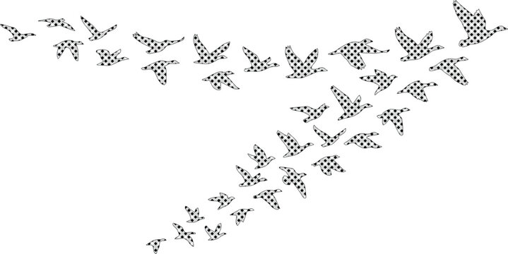 Abstract flock of birds vector illustration, black and white flying geese or ducks, migration concept graphic element, freedom and movement symbol for design projects