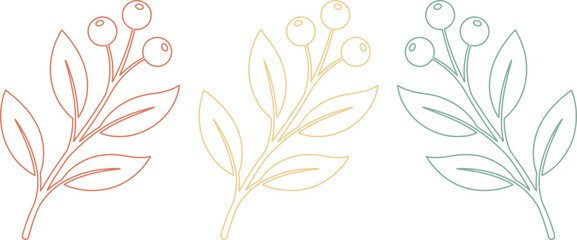 Minimalist berry branch vector set, delicate botanical line art illustration, three pastel color leaves and berries, elegant floral design elements for branding and decoration © Shanza