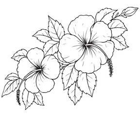Tropical Hibiscus Floral Line Art - Black and White Outline Vector Drawing © ArtLabBD