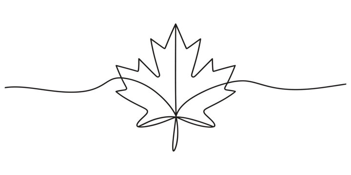 Continuous single line drawing of a maple leaf symbol