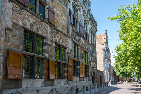 Historic canal houses beneath leafy trees in Delft city centre spring sunlight, Netherlands