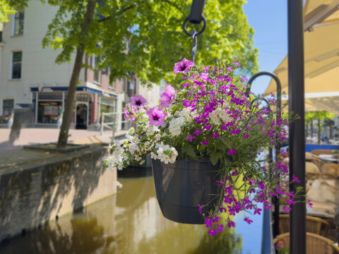 Colorful hanging flower basket beside a sunny canal bridge in Delft city centre Netherlands
