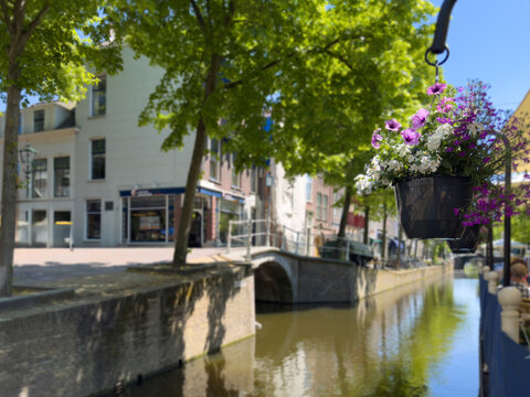 Colorful hanging flower basket beside a sunny canal bridge in Delft city centre Netherlands
