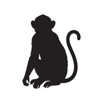 monkey vector silhouette