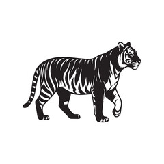 Obraz premium tiger on white background